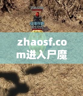 zhaosf.com进入尸魔洞法师一定要用寒冰掌