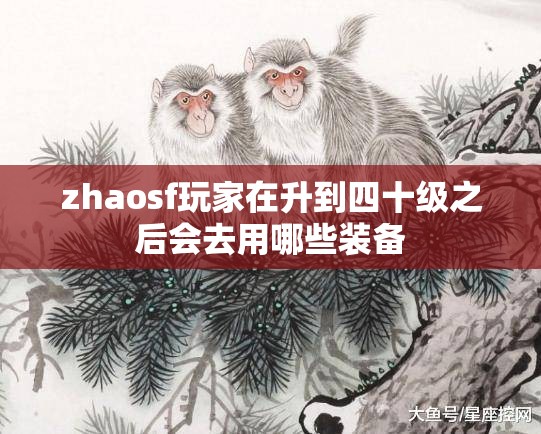 zhaosf玩家在升到四十级之后会去用哪些装备