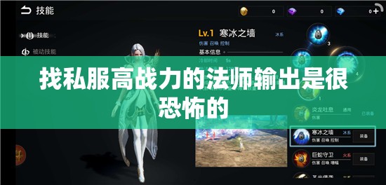 找私服高战力的法师输出是很恐怖的