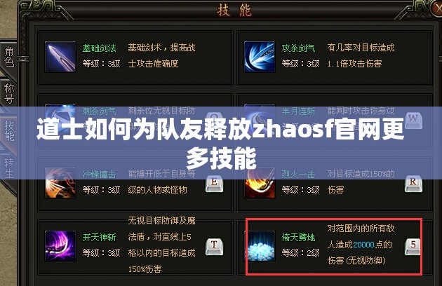 道士如何为队友释放zhaosf官网更多技能