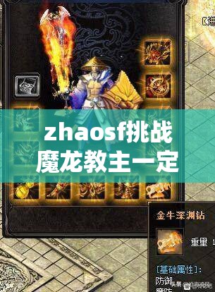 zhaosf挑战魔龙教主一定要达到65级