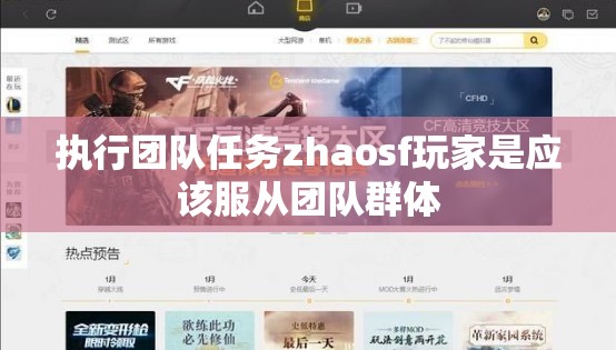 执行团队任务zhaosf玩家是应该服从团队群体