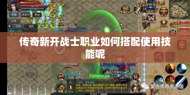 传奇新开战士职业如何搭配使用技能呢