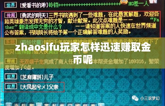 zhaosifu玩家怎样迅速赚取金币呢