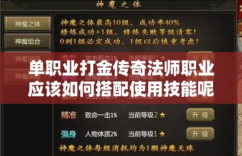 单职业打金传奇法师职业应该如何搭配使用技能呢