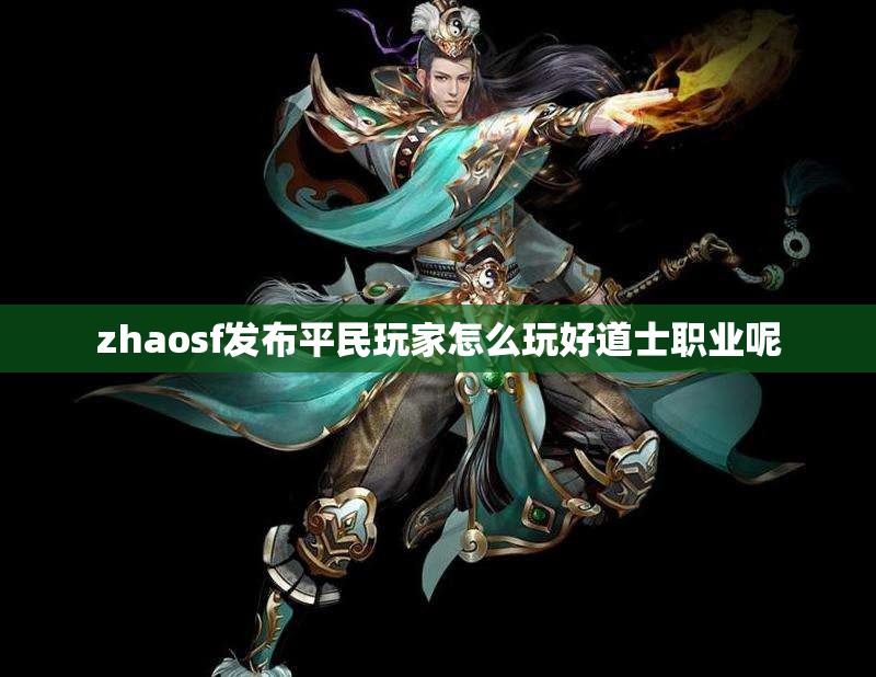 zhaosf发布平民玩家怎么玩好道士职业呢